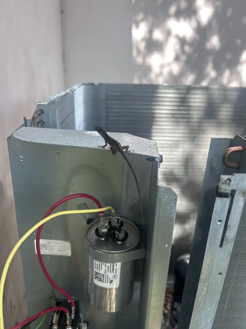 Open condenser showing capacitor and wiring