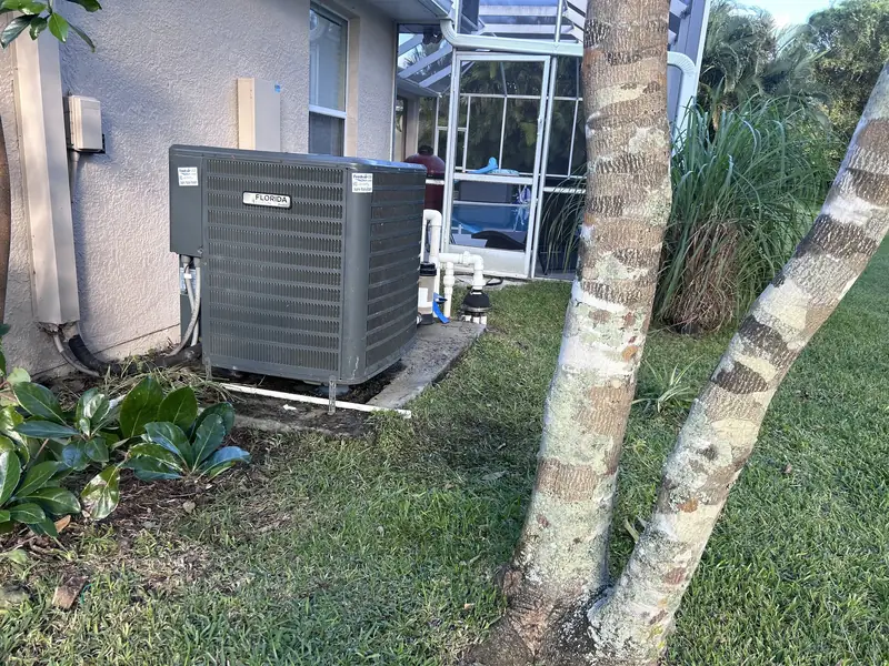Condenser installed beside mature palms