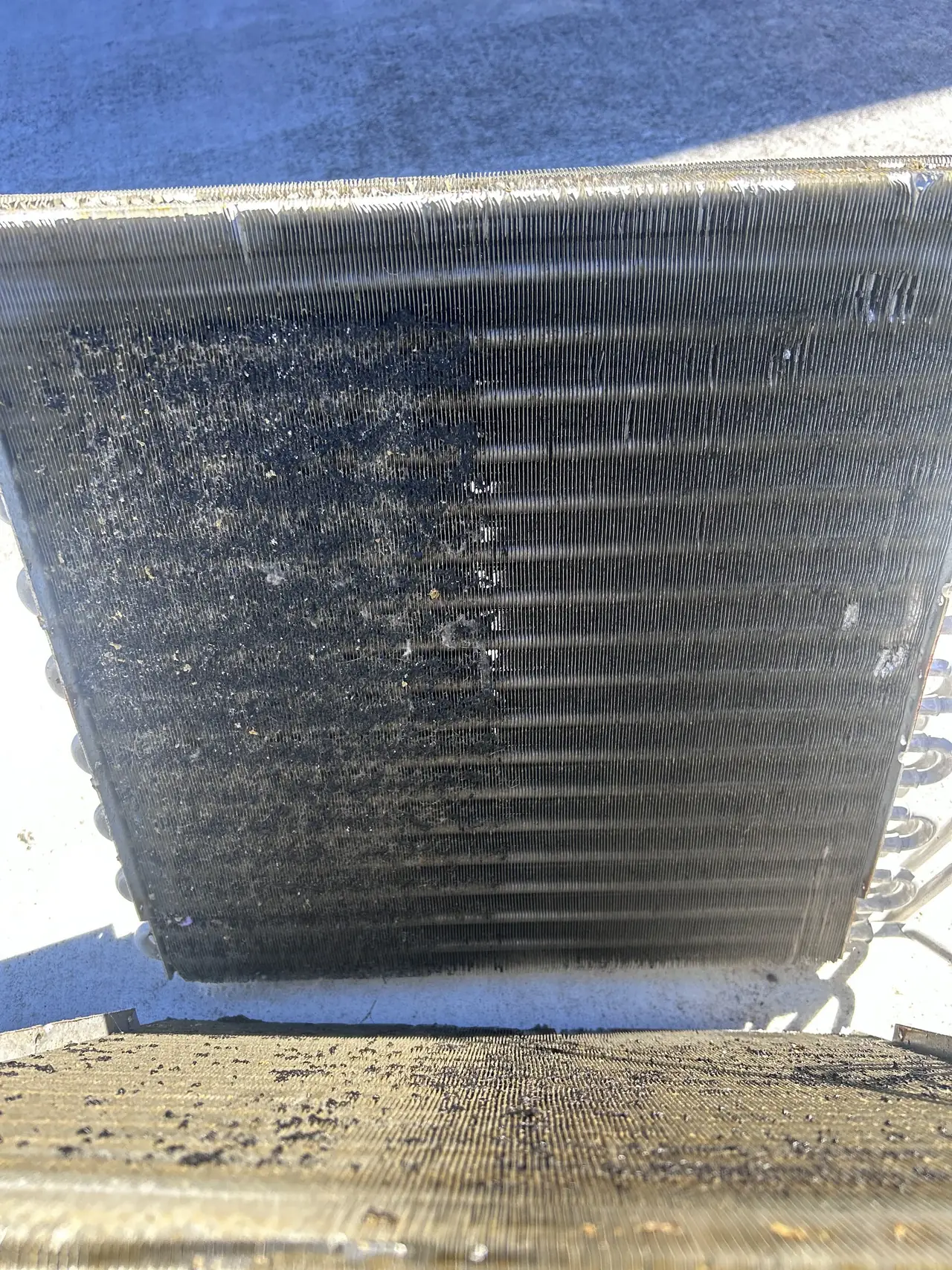 Dirty evaporator coil before cleaning